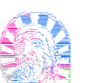 continuous_line_paint (2).gcode preview